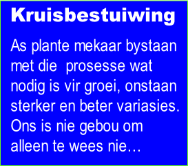 As plante mekaar bystaan
met die  prosesse wat 
nodig is vir groei, onstaan
sterker en beter variasies.
Ons is nie gebou om 
alleen te wees nie…
